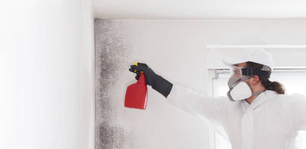 Crawl Space Mold Removal in Bee Ridge, FL